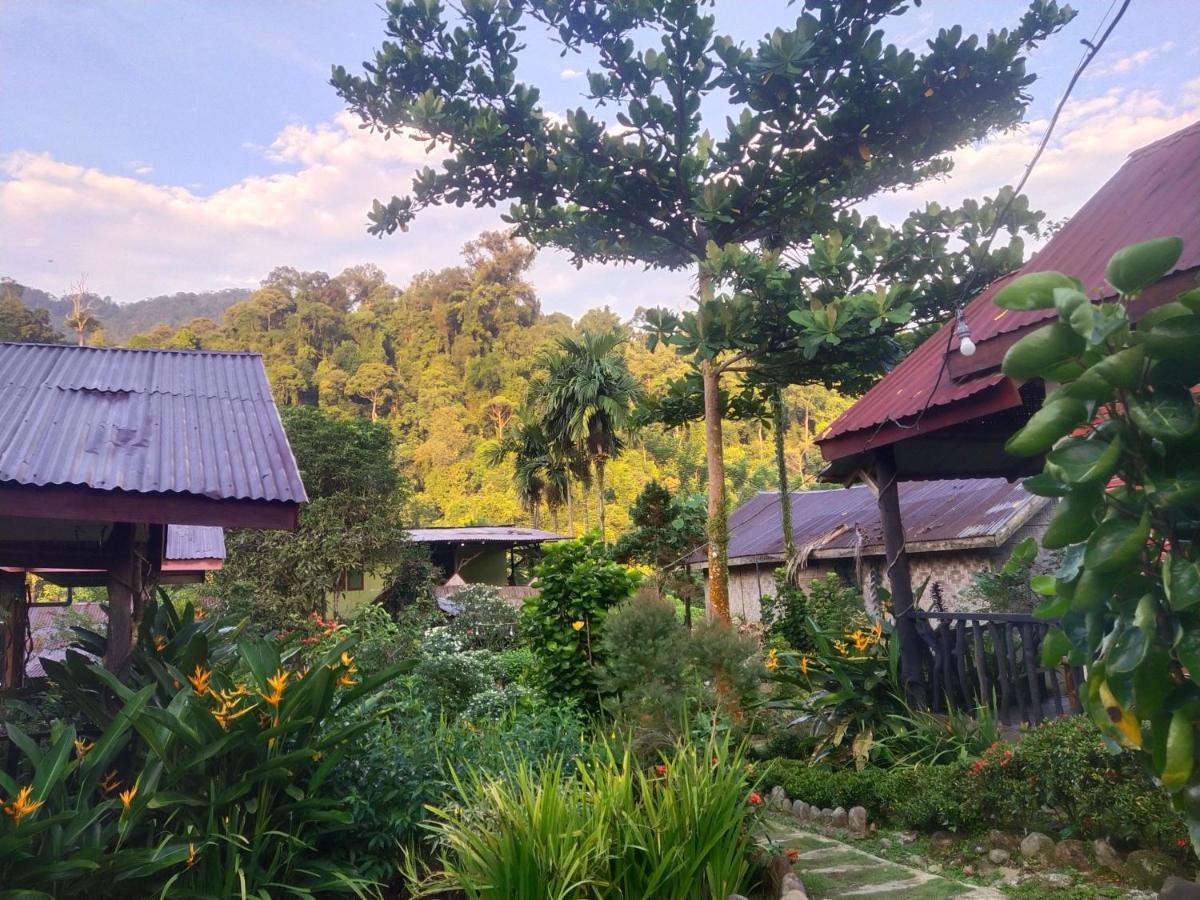 Mountain View Cottages & Villa Tangkahan Exterior photo