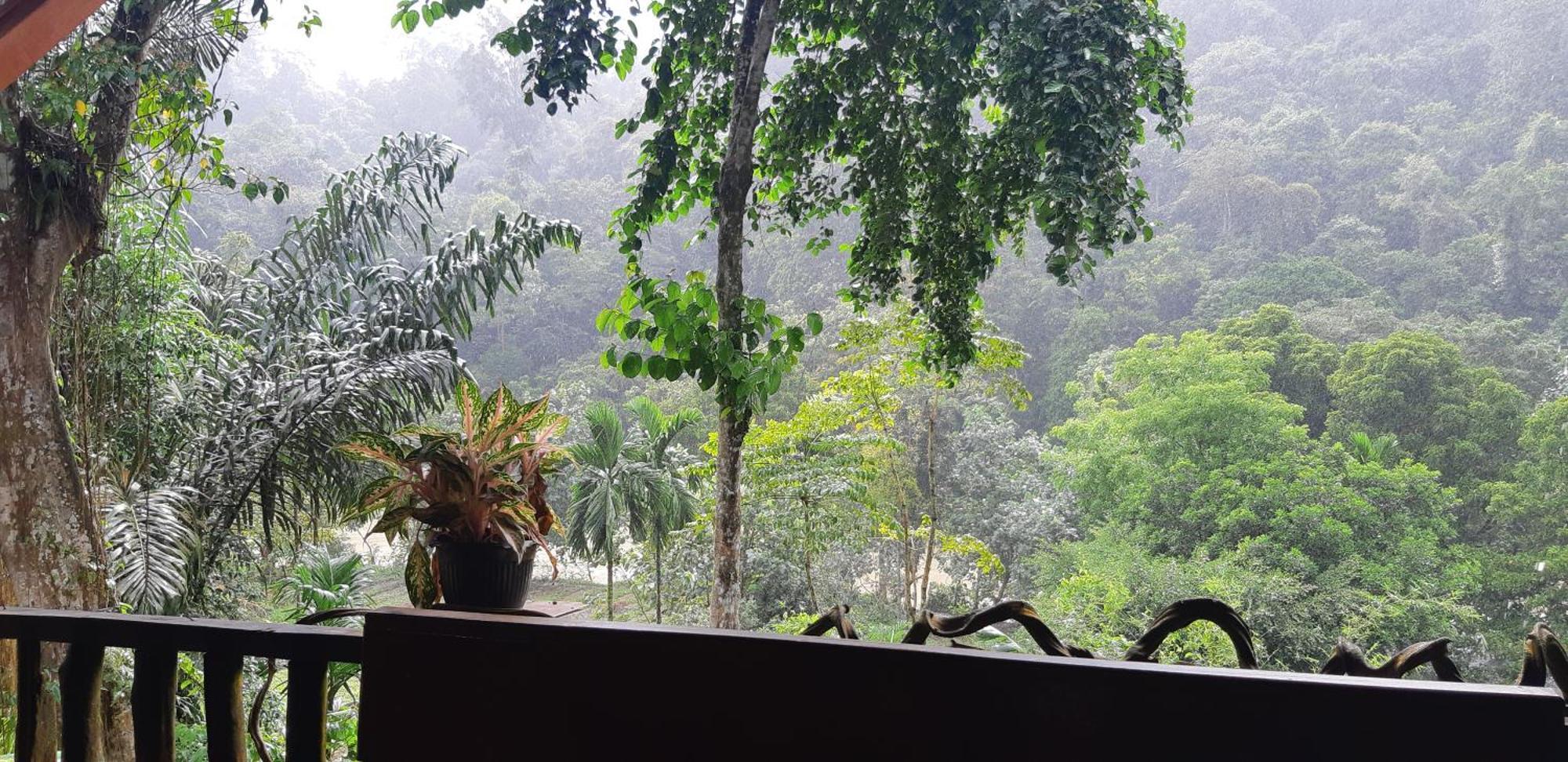 Mountain View Cottages & Villa Tangkahan Exterior photo