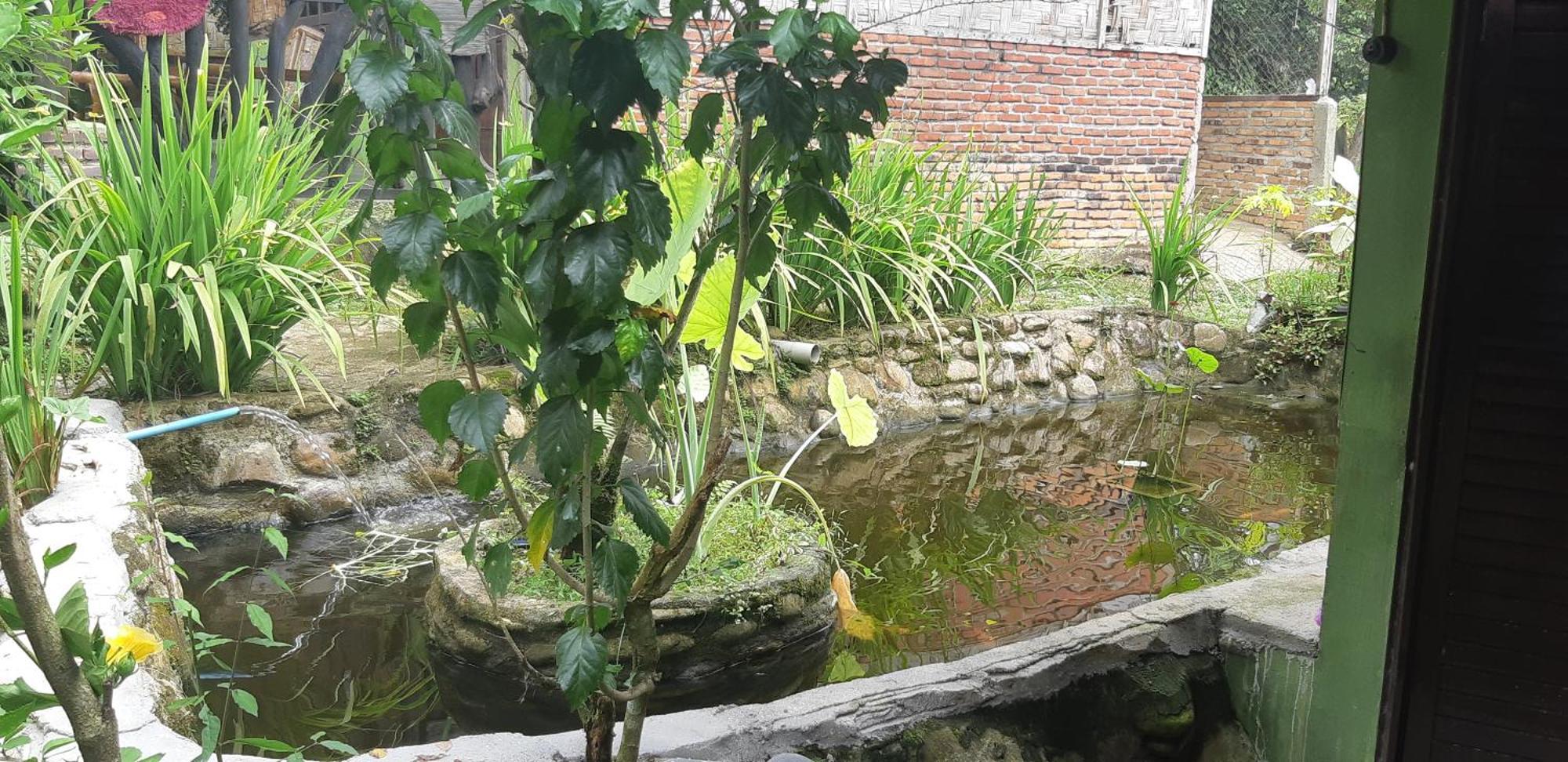 Mountain View Cottages & Villa Tangkahan Exterior photo