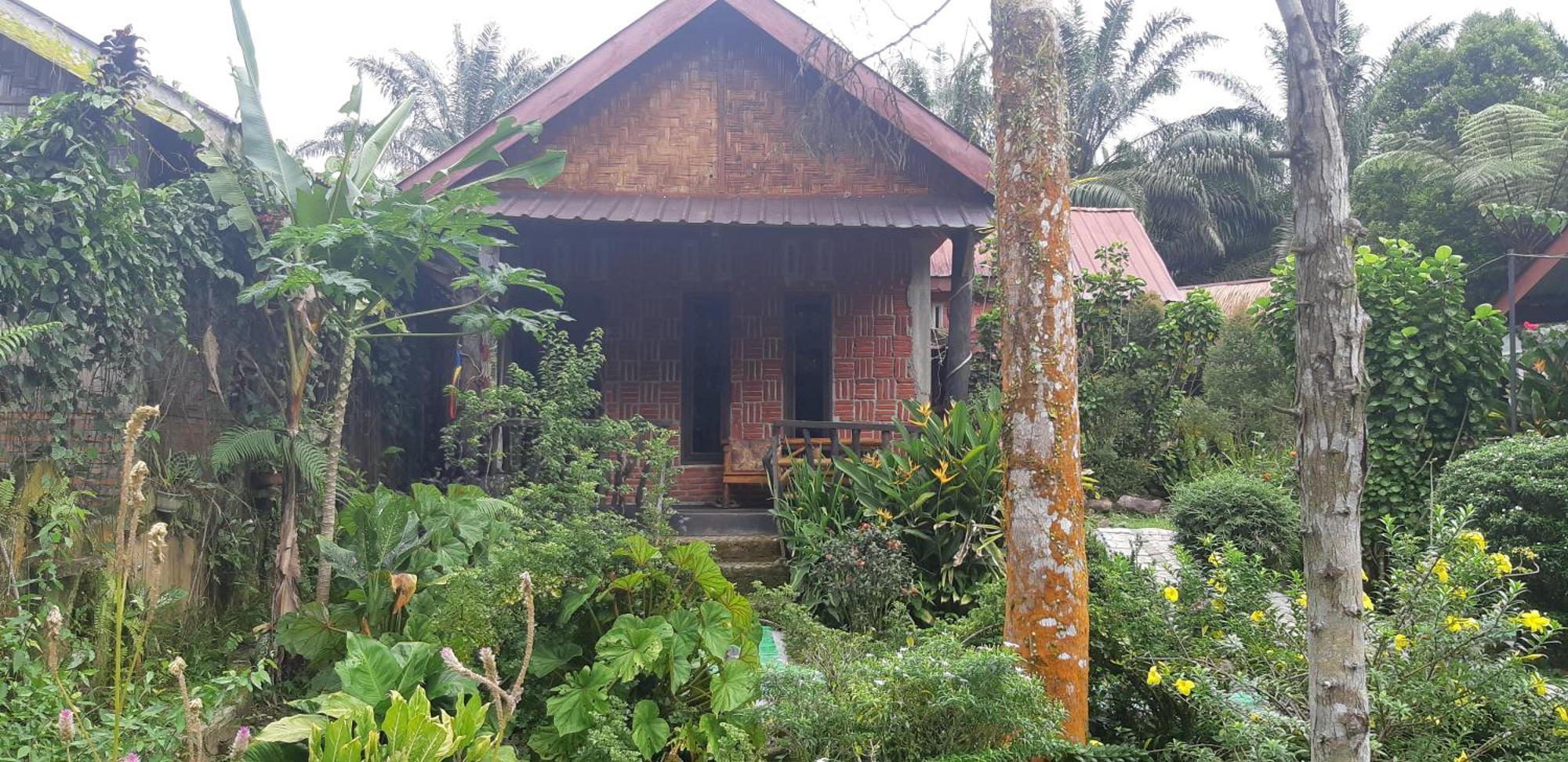 Mountain View Cottages & Villa Tangkahan Exterior photo
